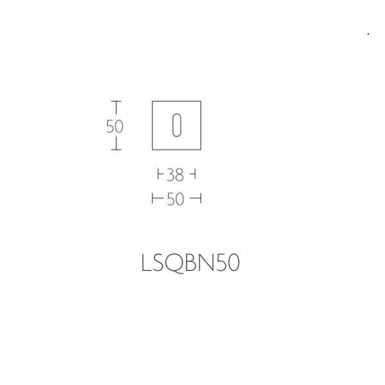 Sleutelplaatje LSQBN50 mat RVS